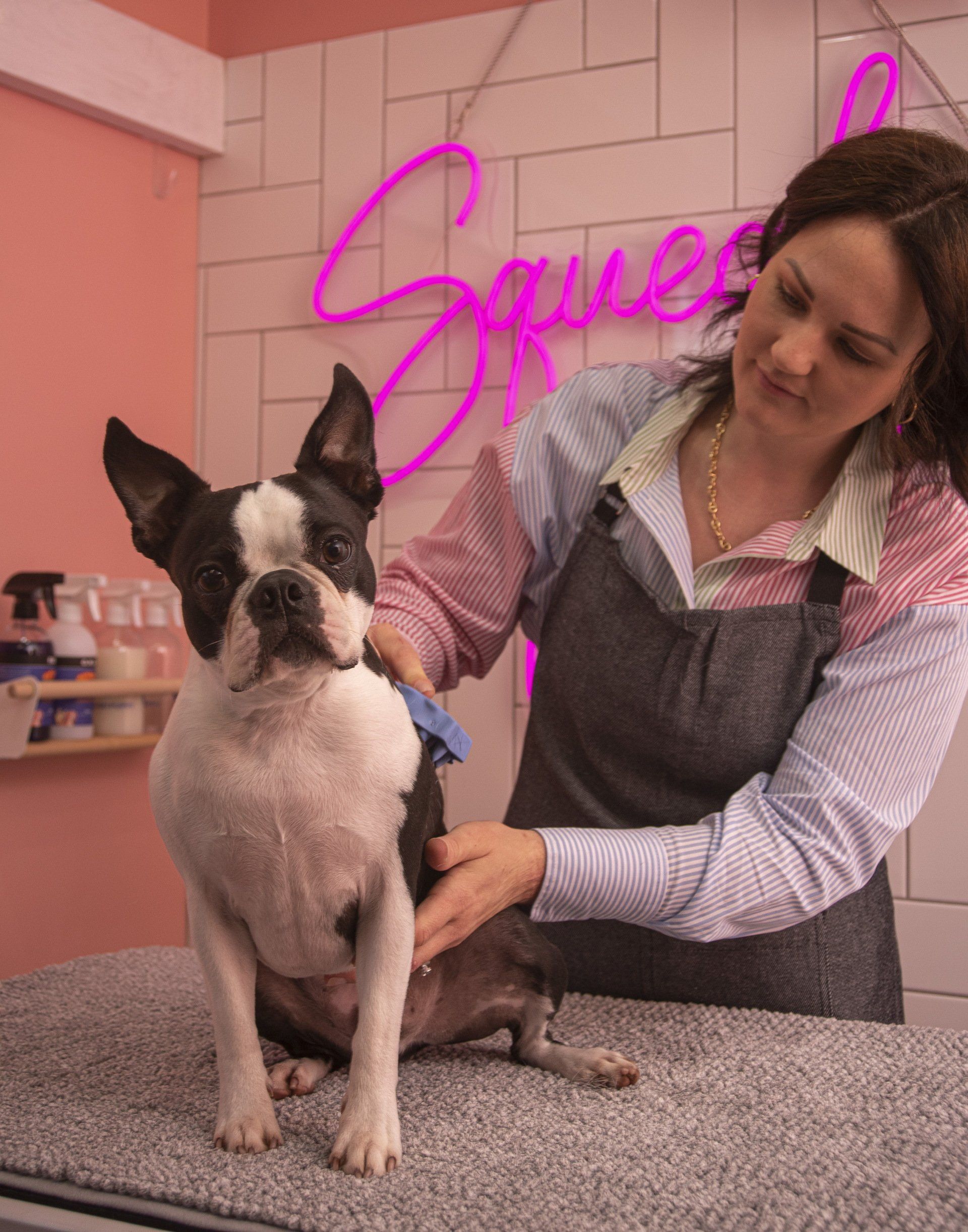 A woman is grooming a small black and white dog