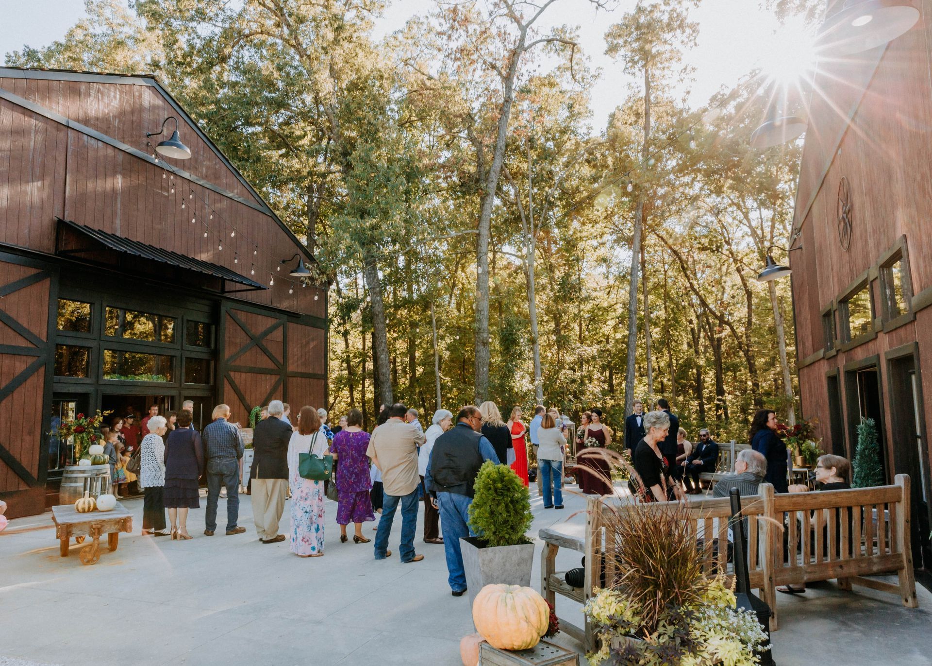 Guests mingle in a sunny courtyard between rustic buildings with autumn trees and string lights.