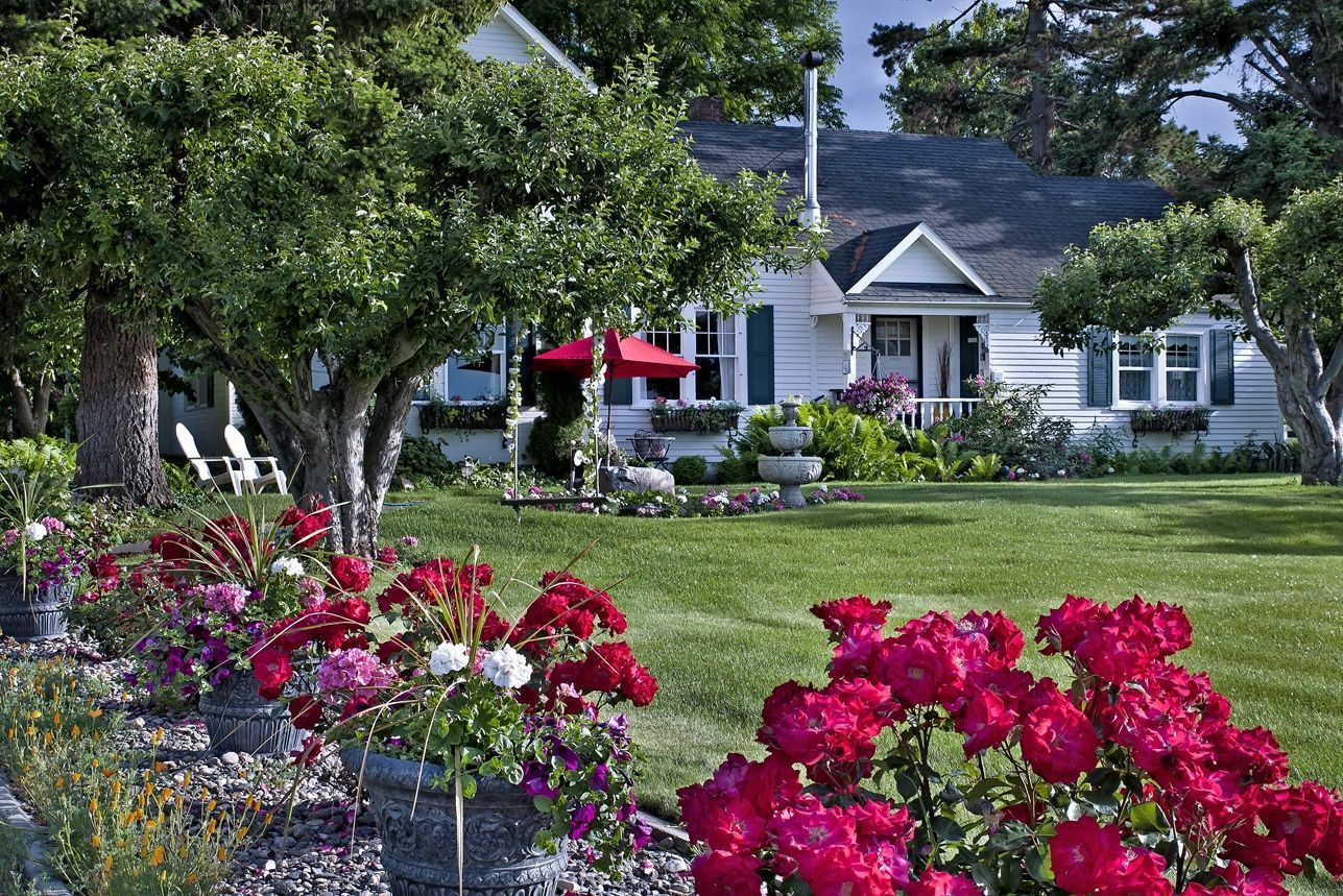 A house with a lot of flowers in front of it