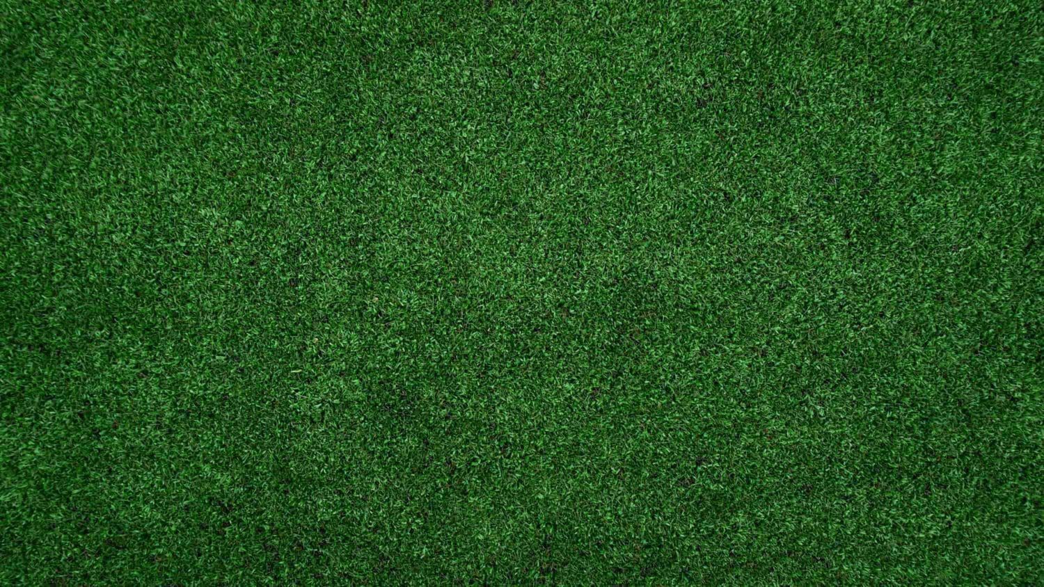 A close up of a green carpet texture.