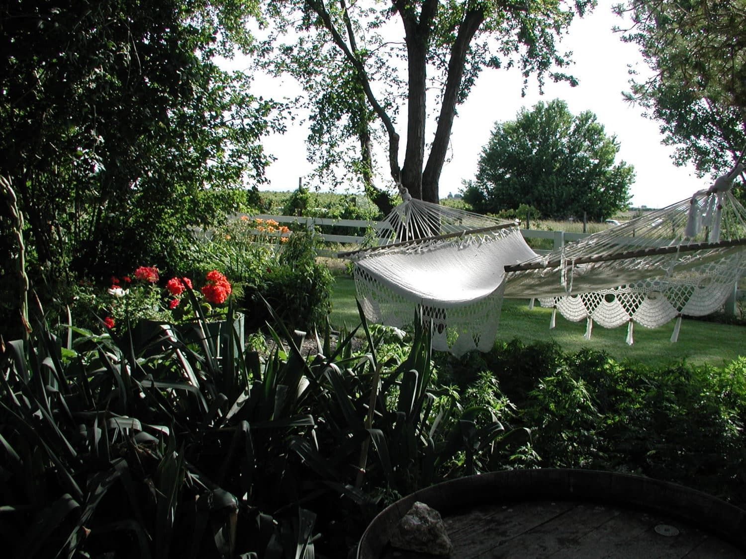 A hammock in the middle of a garden with trees in the background