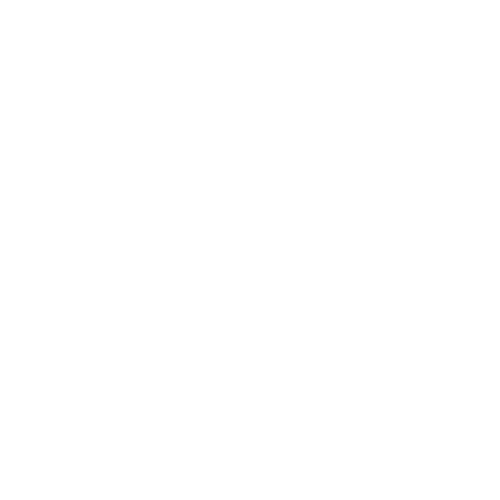 Assael Logo
