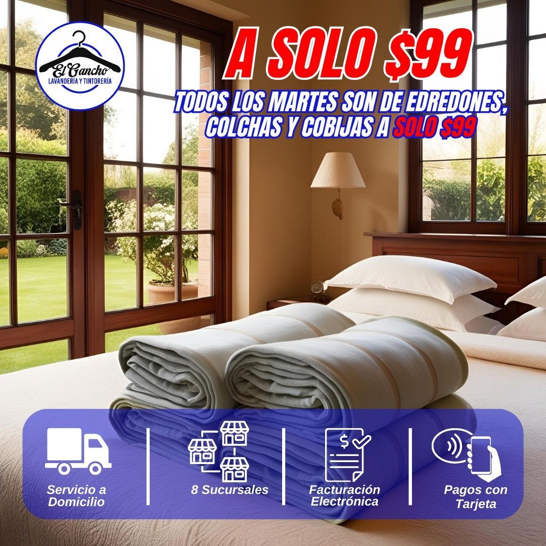  lavandería y tintorería