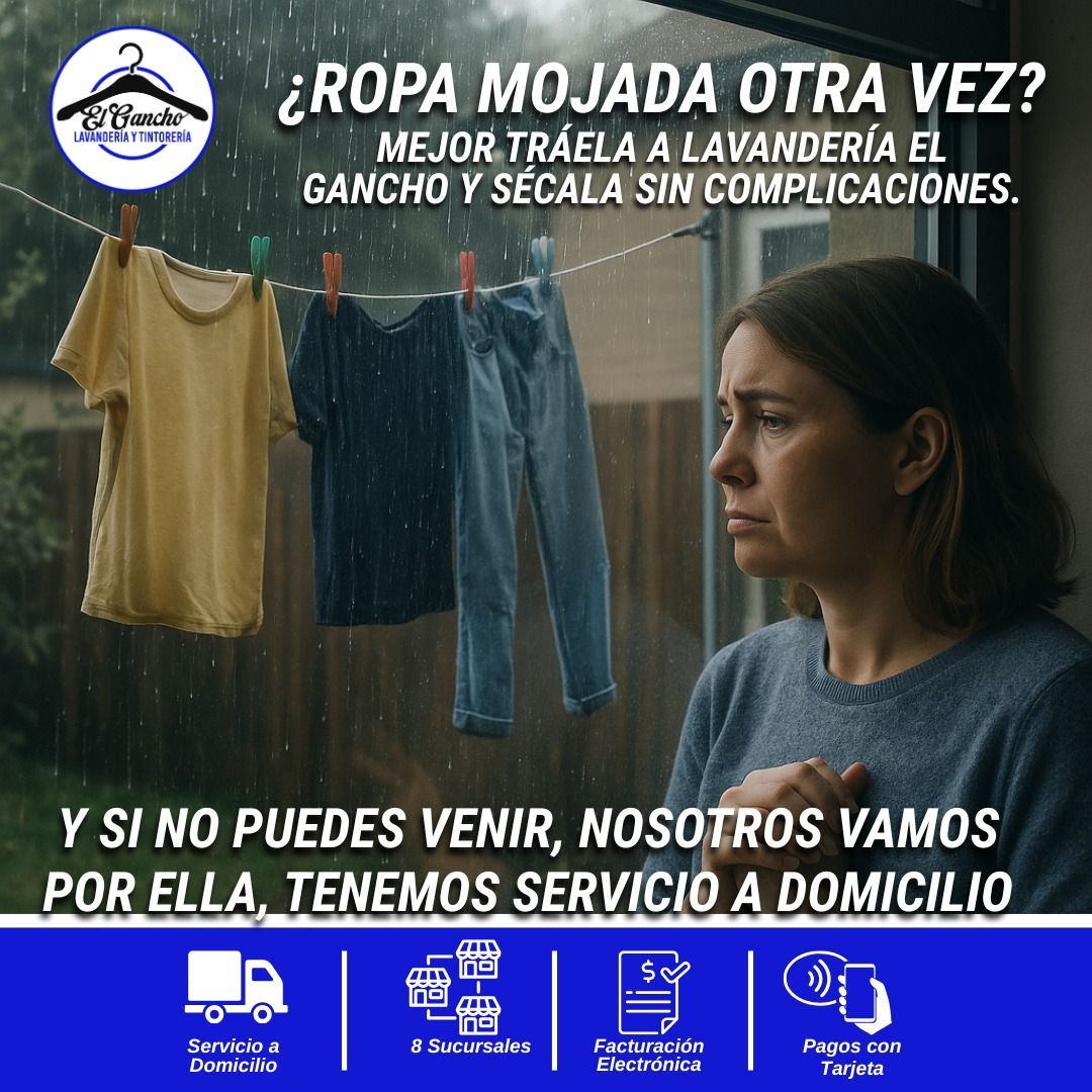  lavandería y tintorería