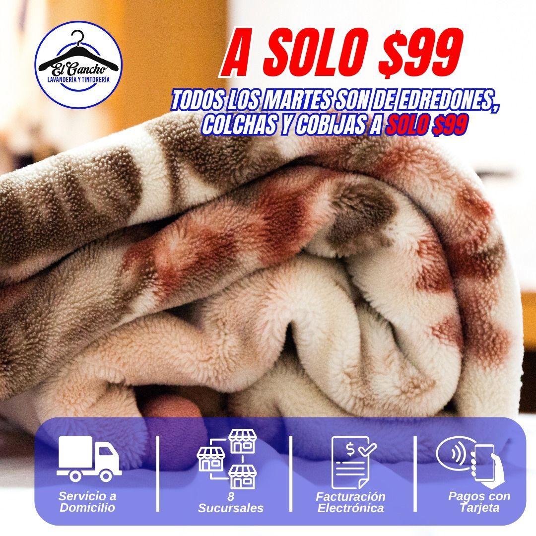  lavandería y tintorería