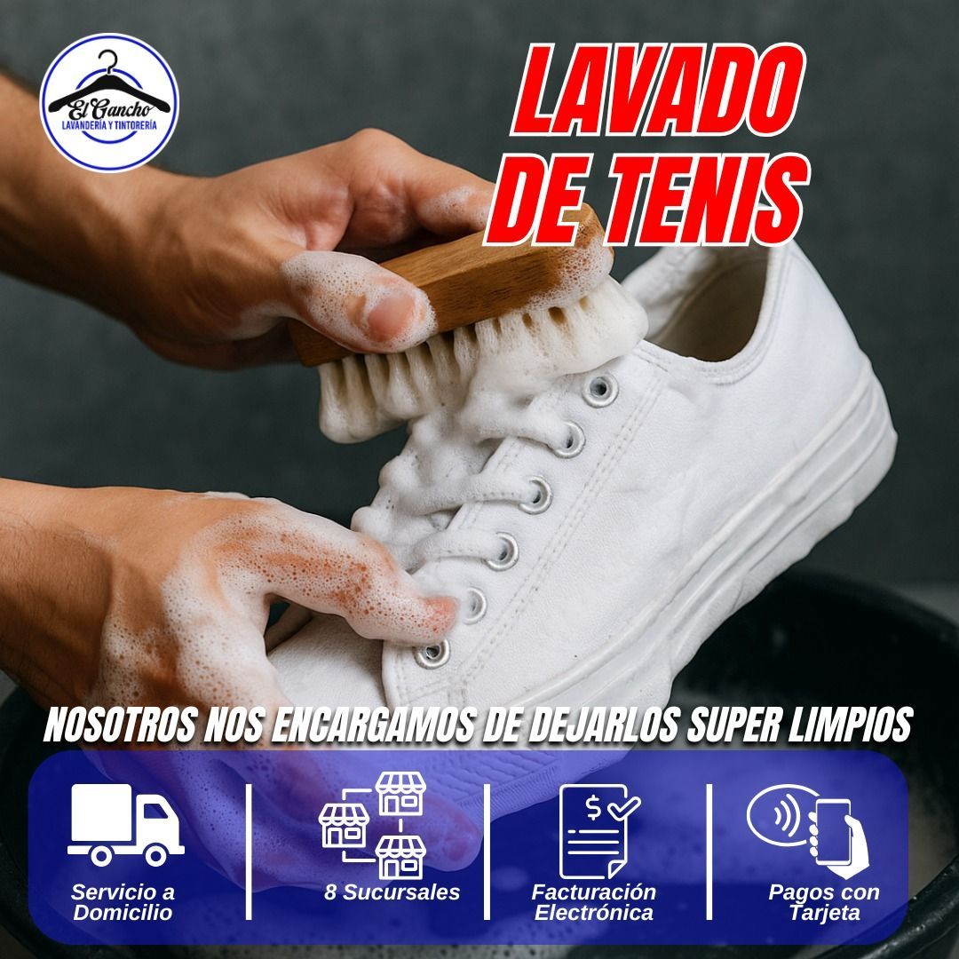  lavandería y tintorería