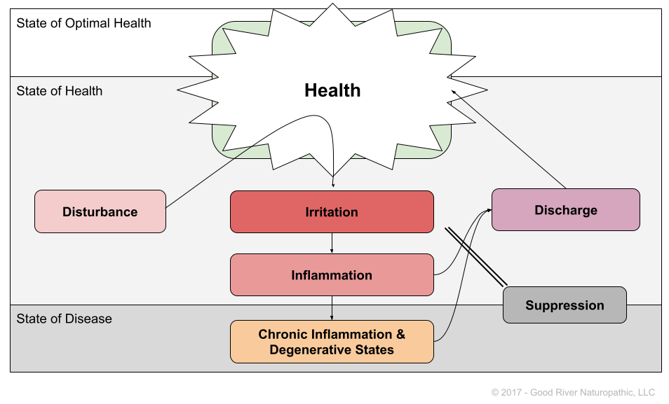 a diagram showing the causes of chronic inflammation and degenerative states