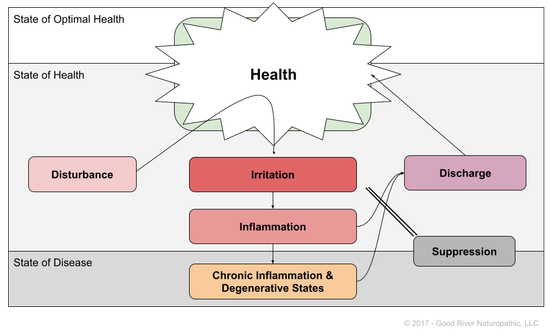a diagram showing the causes of chronic inflammation and degenerative states