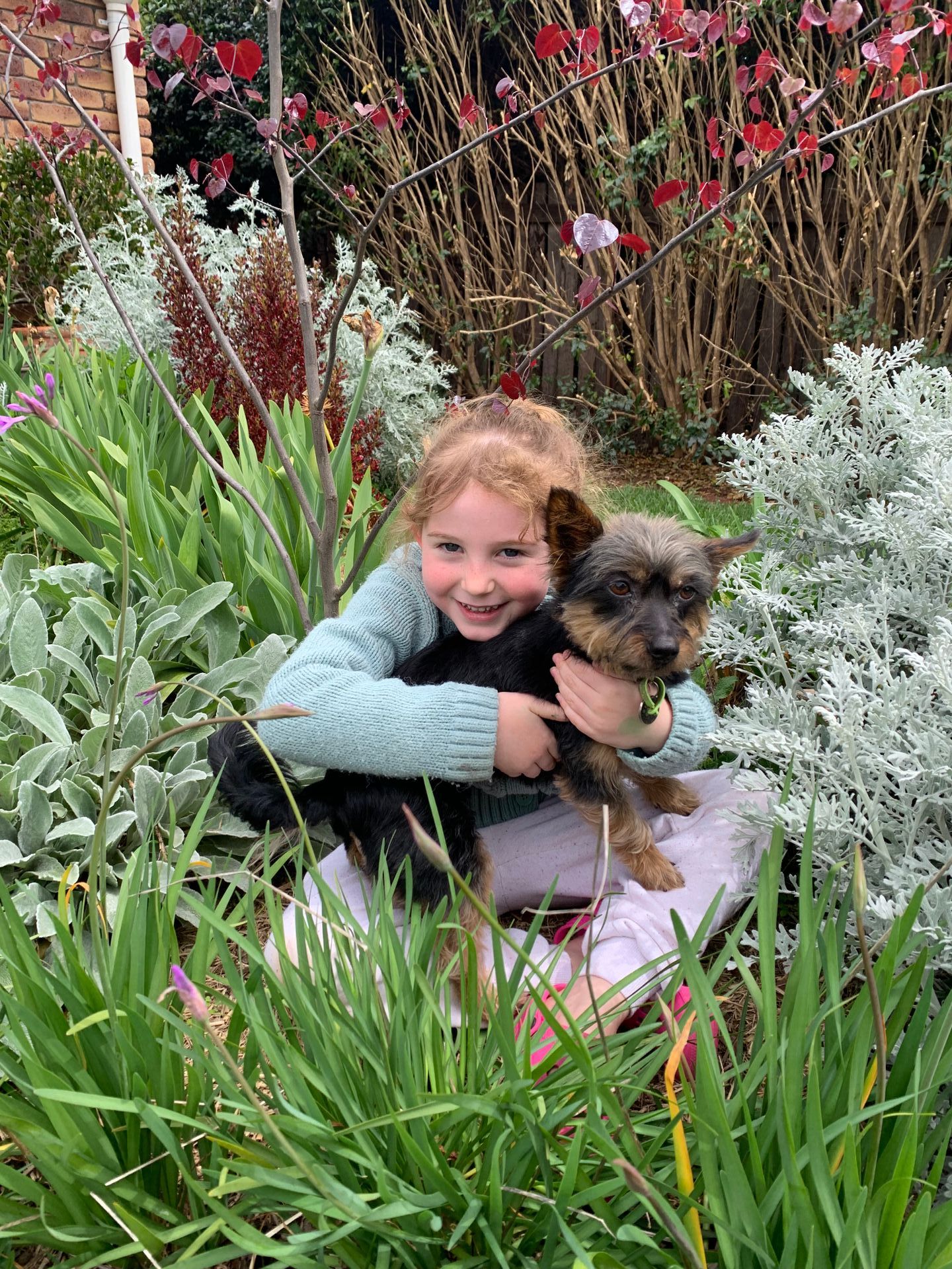 Art Materials — Speech Pathologist in Toowoomba, QLD