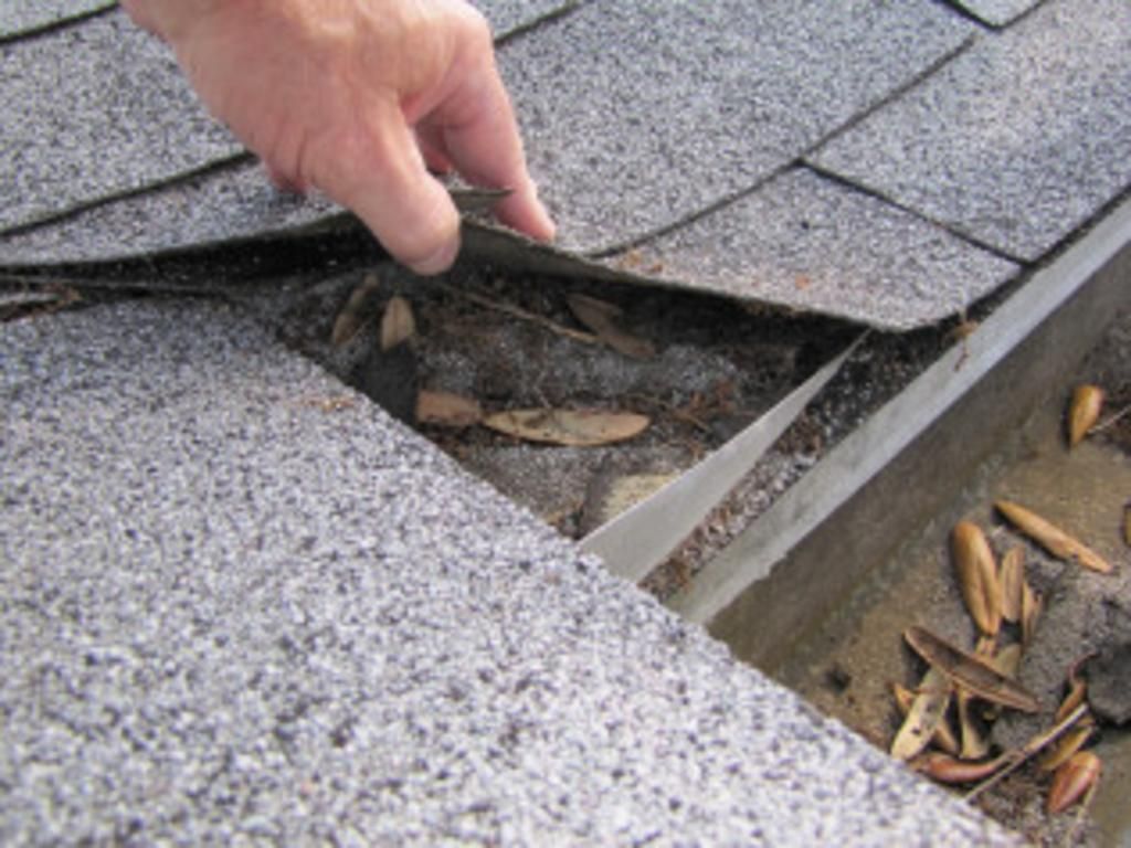 A person is looking at a gutter on a roof.