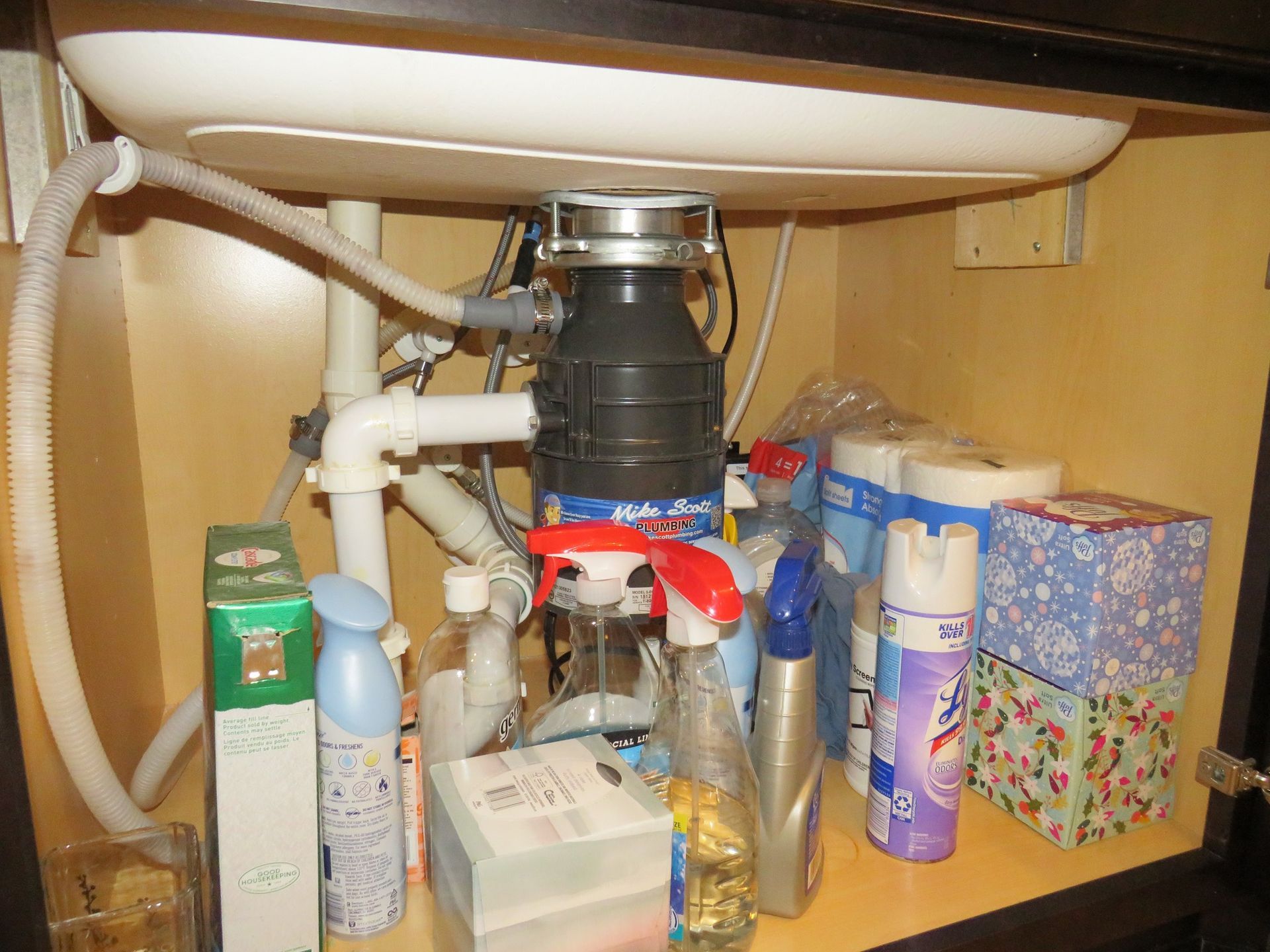 Under-sink storage cabinet containing a garbage disposal, plumbing pipes, and various household cleaning products.