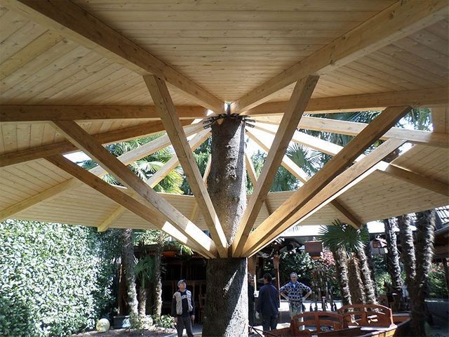 struttura in legno per una copertura