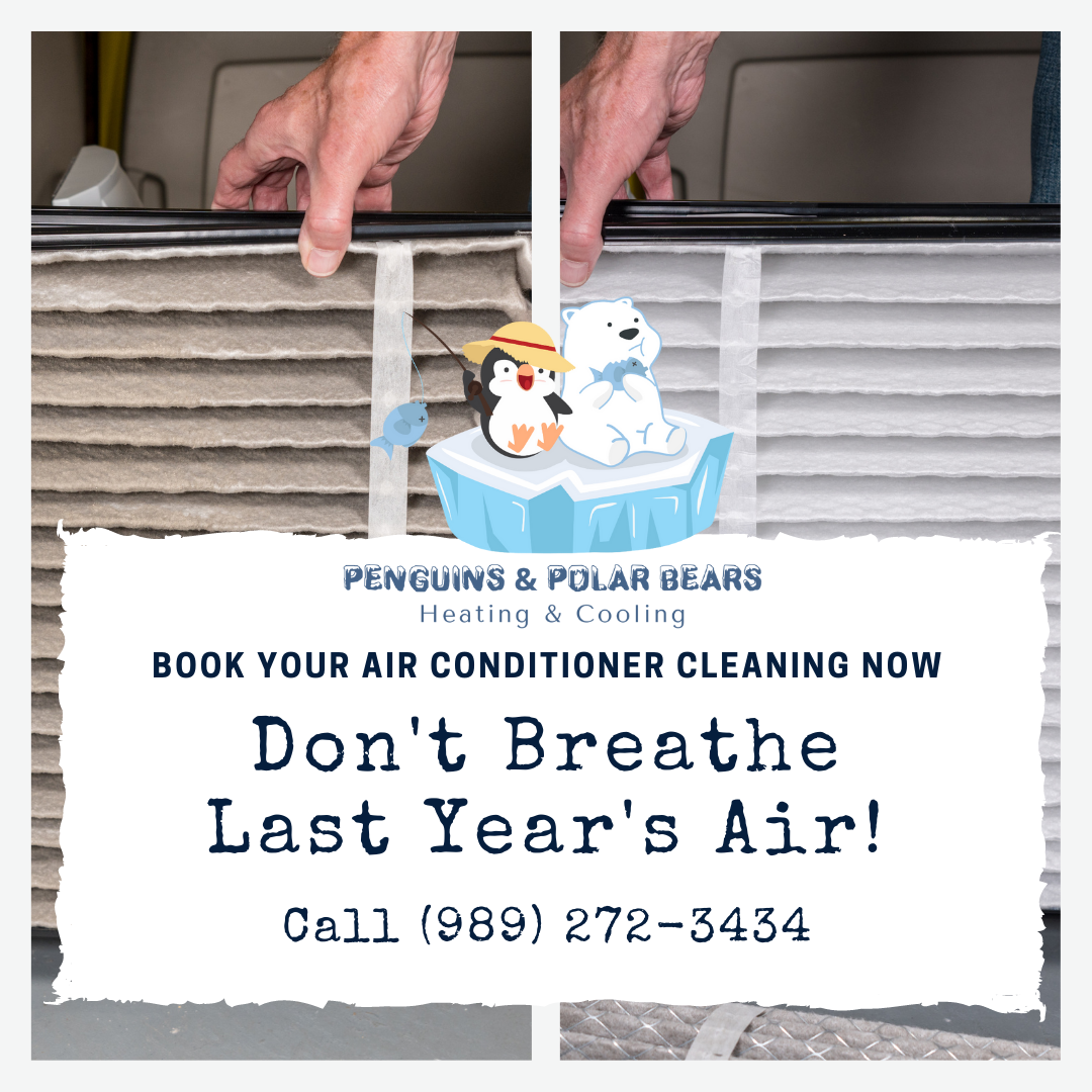 Hands holding dirty air filter, with cartoon penguins and polar bear on ice floe; ad for air conditioner cleaning.