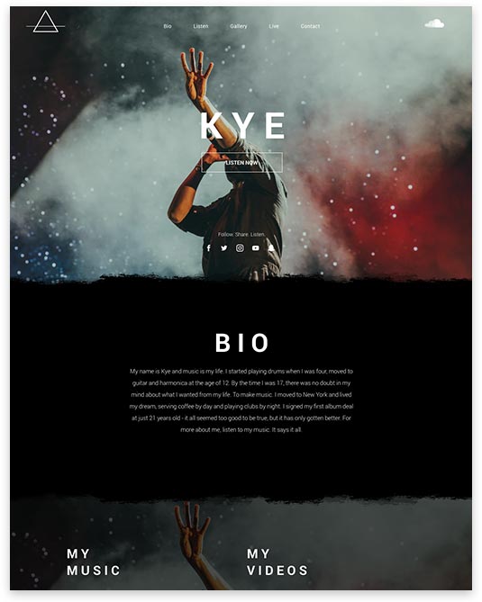 Website homepage with