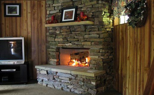 mendota gas fireplace insert picture