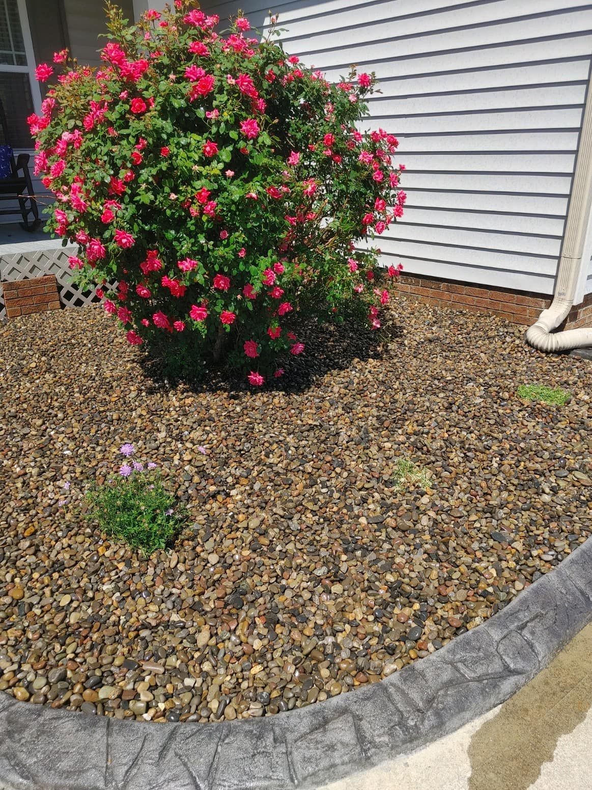 Flower | Pikeville, NC | Landscaping Plus LLC