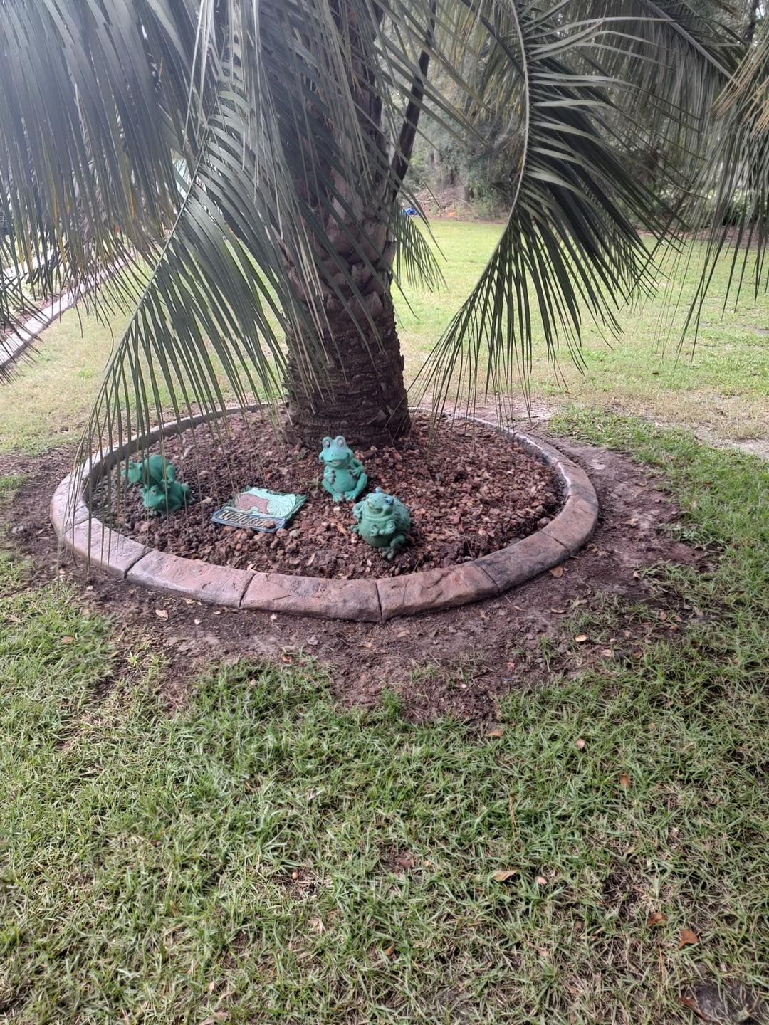 Tree Rings | Pikeville, NC | Landscaping Plus LLC