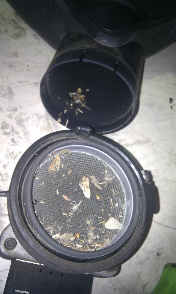 A Close Up of a Dirty Filter — Northern Service Centre in Smithfield, QLD