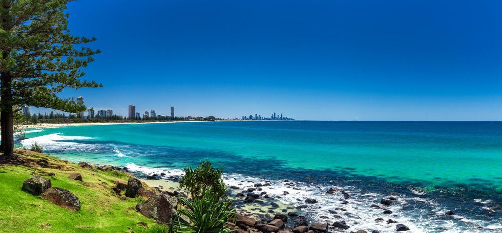A Beach with A City in The Background and A Tree in The Foreground — Start Learning Automotive in Gold Coast, QLD