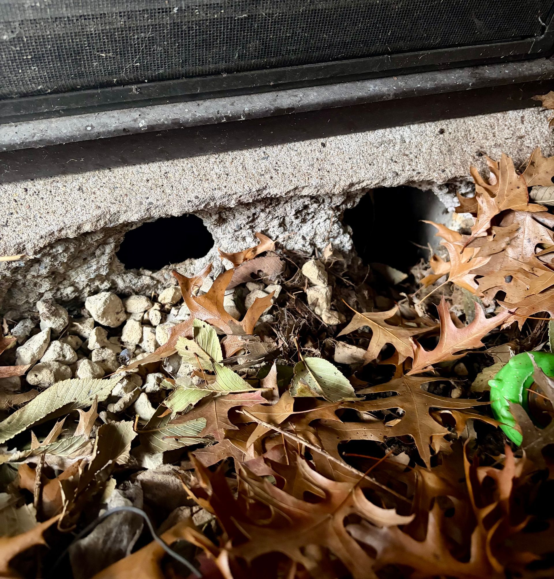 Two large mouse holes in the foundation