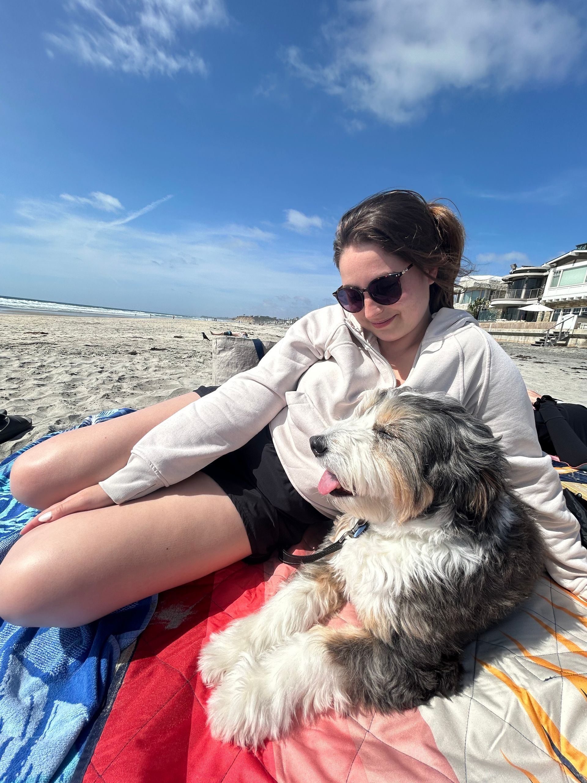 A woman is sitting on a beach with a dog.