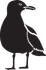 Black silhouette of a standing bird with white wing and beak details on a white background