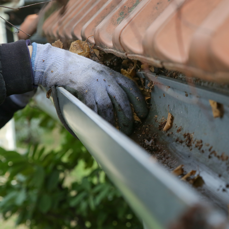 Person wearing a glove cleans a gutter filled with leaves and debris.