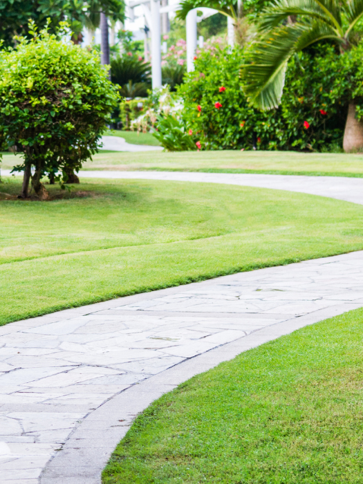 Winding stone path through a lush green garden with trimmed shrubs and various tropical plants.