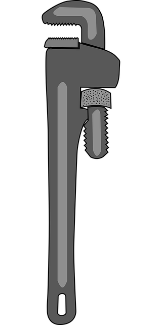 A gray pipe wrench on a white background.