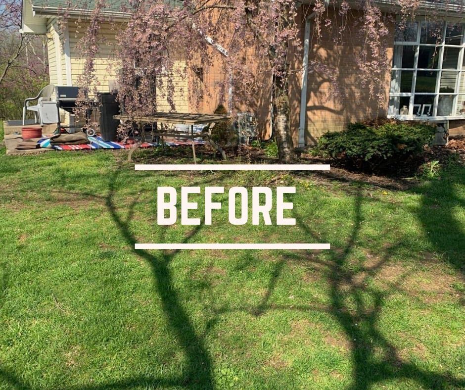 A before picture of a house with a lush green lawn.