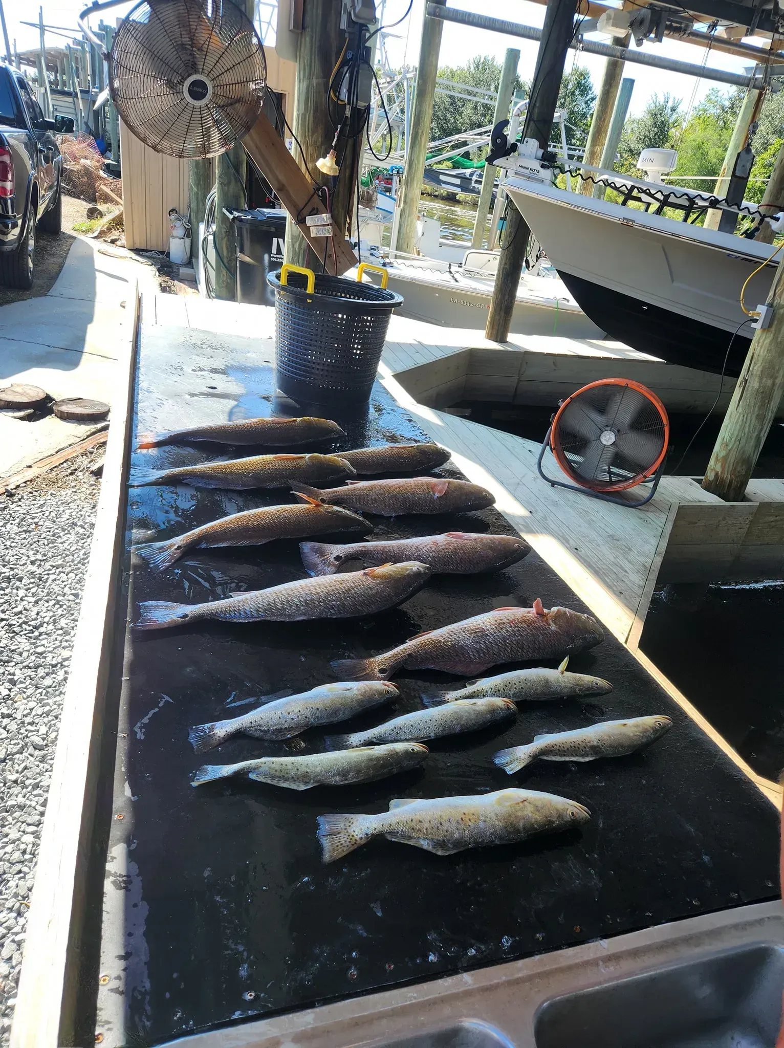 Several raw fish laid out on a dark cleaning station at an outdoor boat dock.