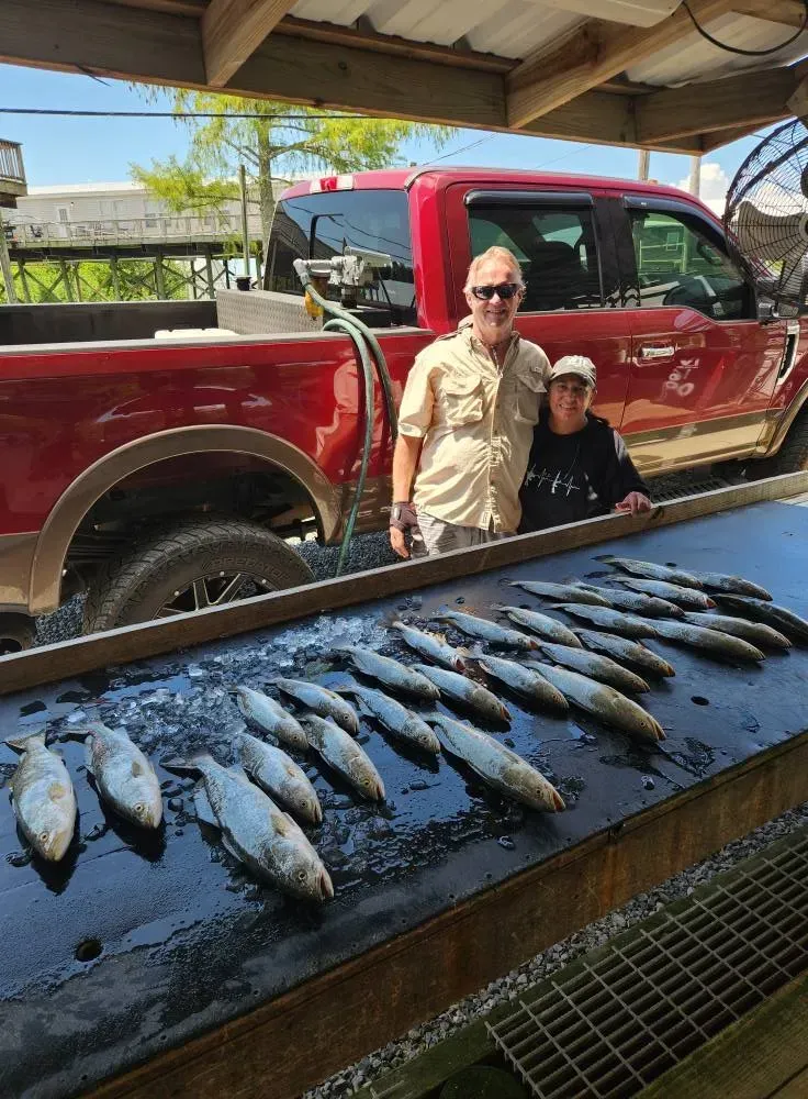 A person and a child stand behind a table covered in freshly caught fish with a red truck parked in the background.