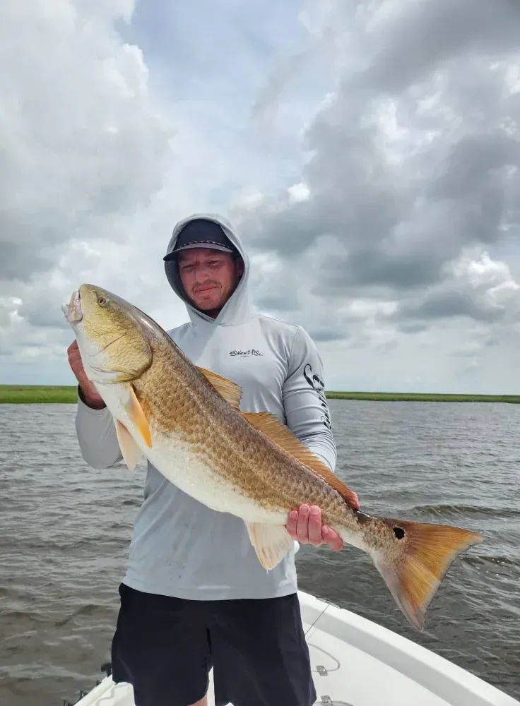 A person in a hooded gray fishing shirt holds a large red drum fish on a boat against a backdrop of water and grass.
