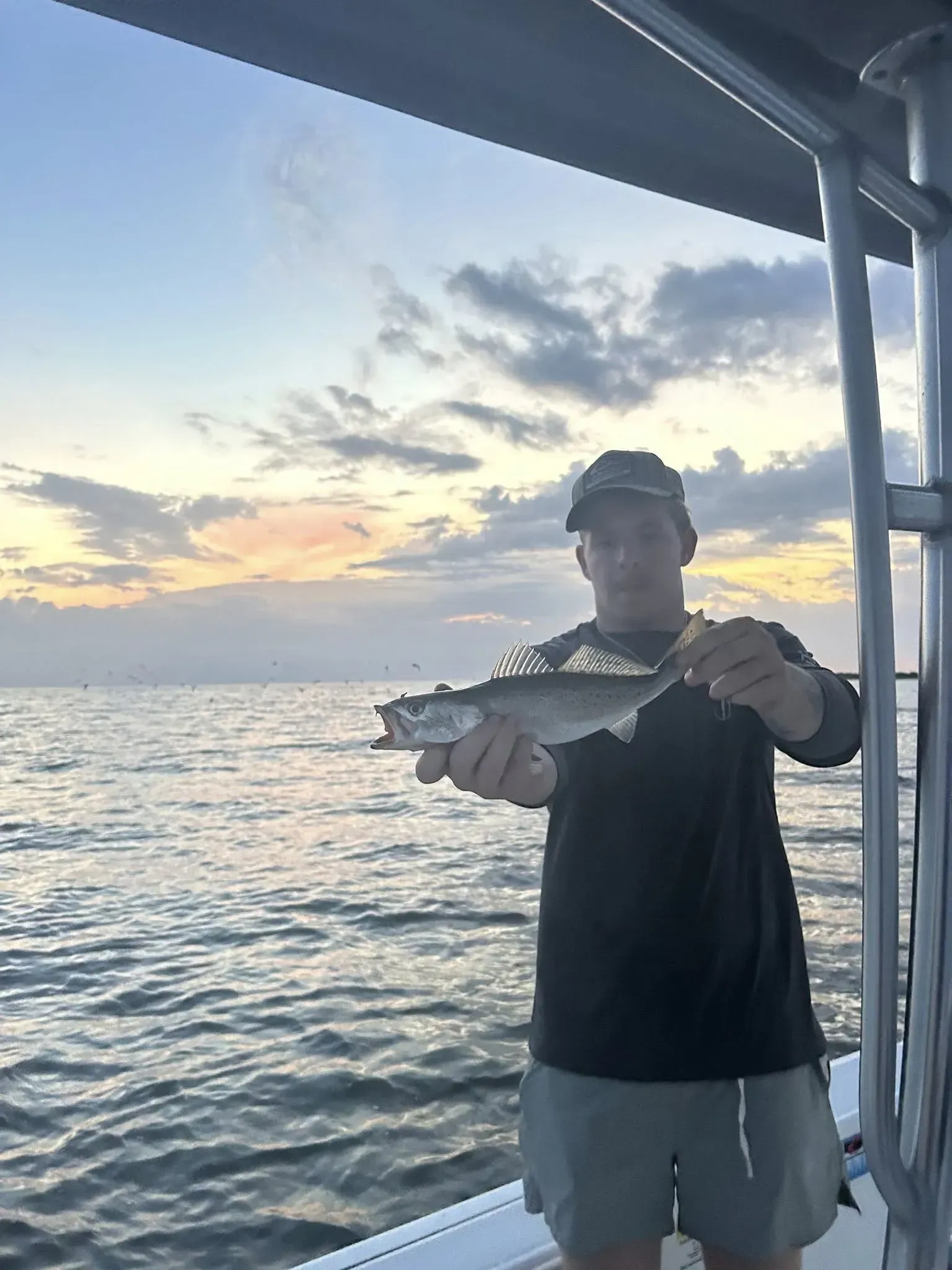 A person holding a small fish on a boat at sunset over the water.
