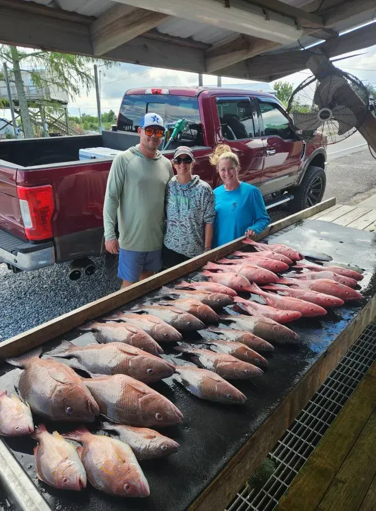 Three people stand behind a table covered in freshly caught red snapper fish in front of a red pickup truck.
