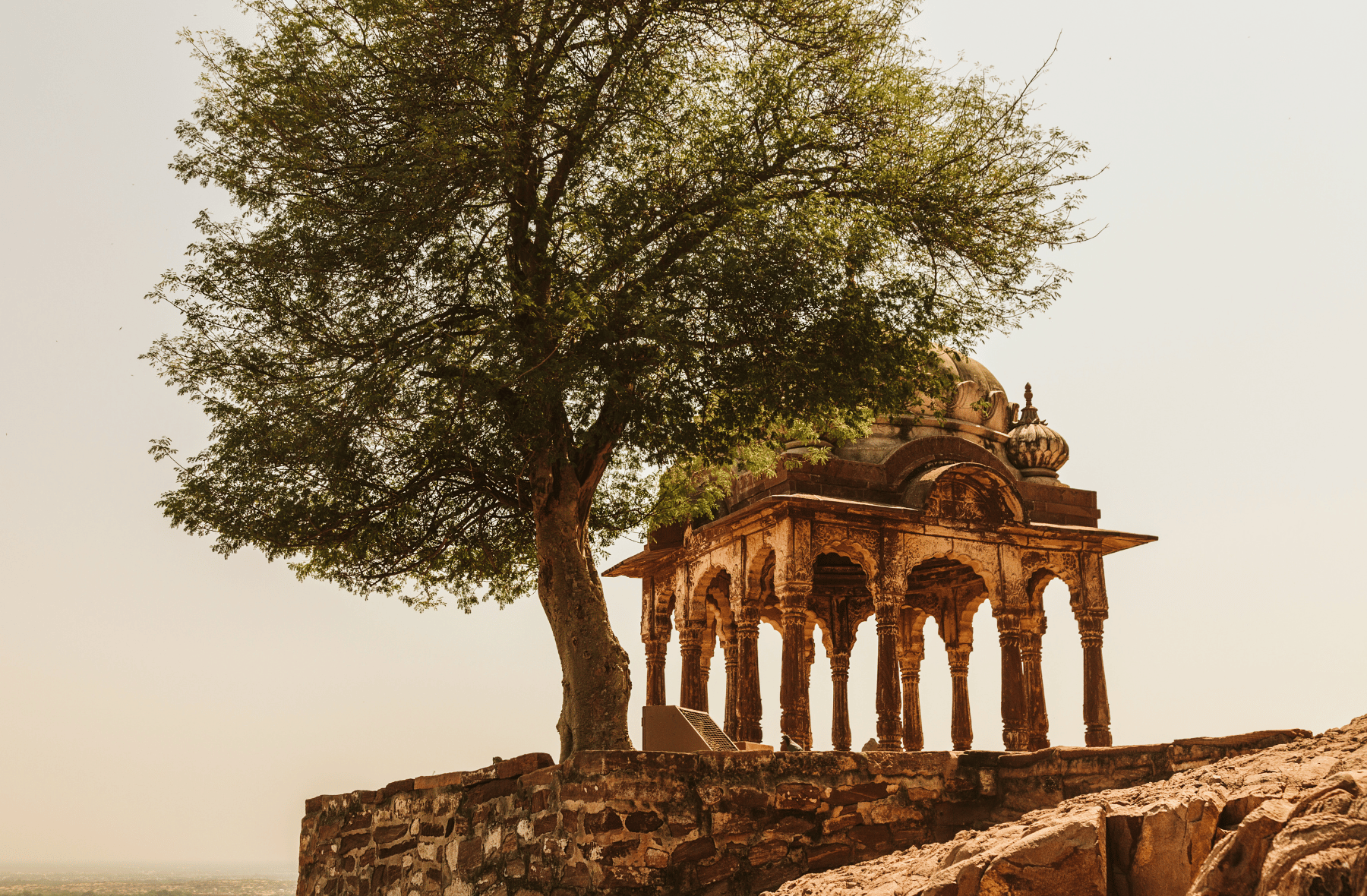 An old building with a tree in front of it.