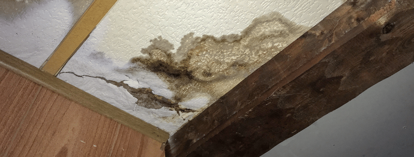 Ceiling Water Damage