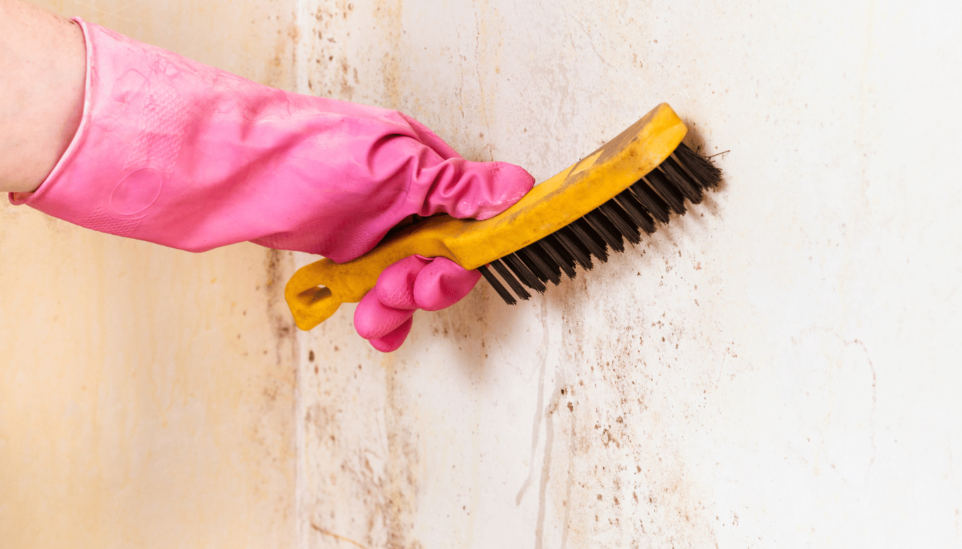 A person wearing pink gloves is cleaning a wall with a brush.