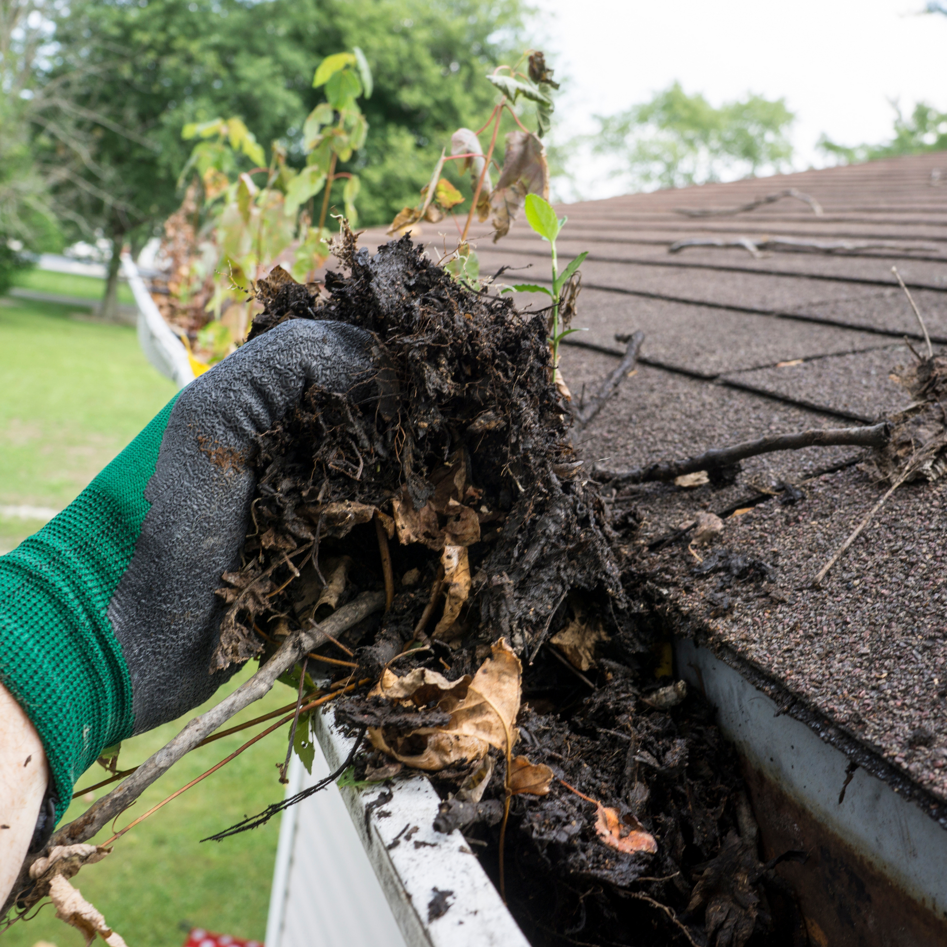 clearing debris from a roof gutter