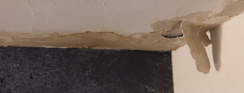 Water Damaged Ceiling