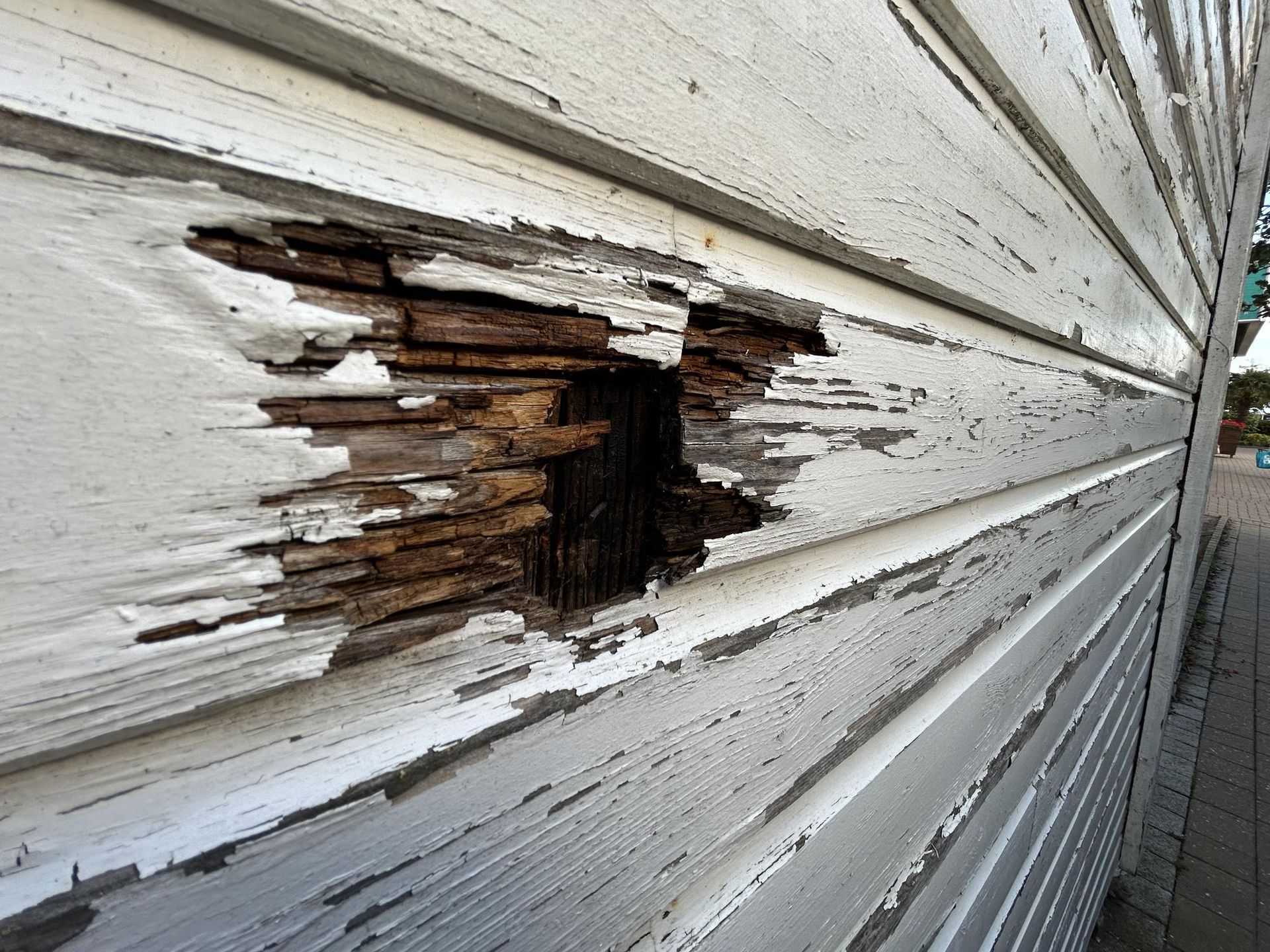 Damaged white clapboard siding with a large hole revealing deteriorated wood.