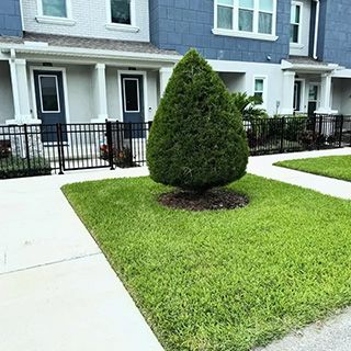 K2-Green-works-services-megamenu-tree-&-shrub-service