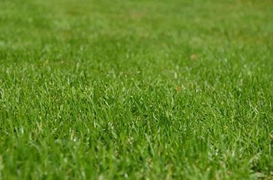 k2-green-works-Lawn & Landscaping-faq