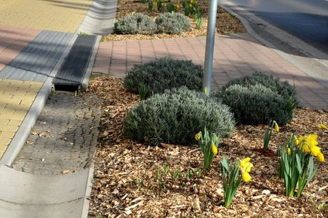 concrete gutter around garden