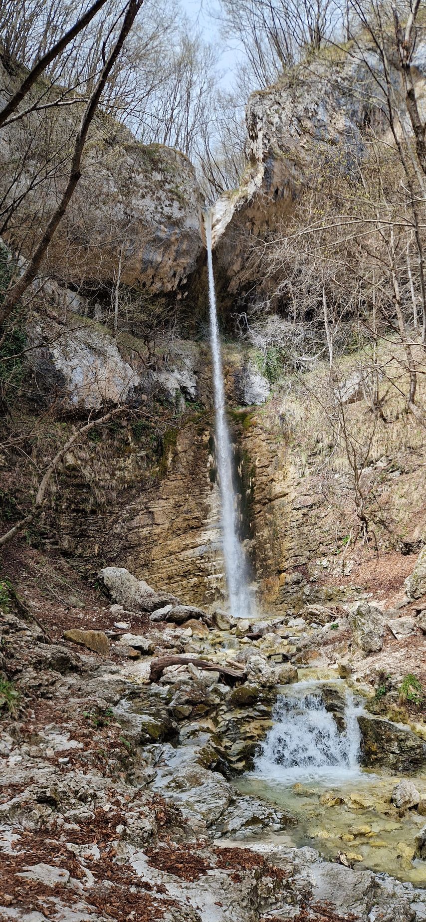 Una sottile cascata scende a cascata lungo una parete rocciosa e boscosa, formando una piccola pozza alla base.