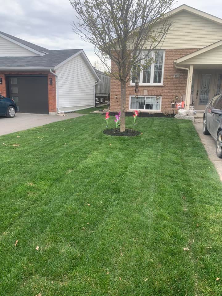 A lush green lawn in front of a house with a car parked in the driveway.