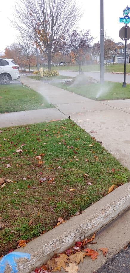 A sprinkler is spraying water on a lush green lawn next to a sidewalk.