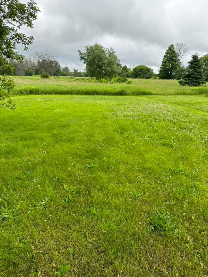 A large lush green field with trees in the background on a cloudy day.
