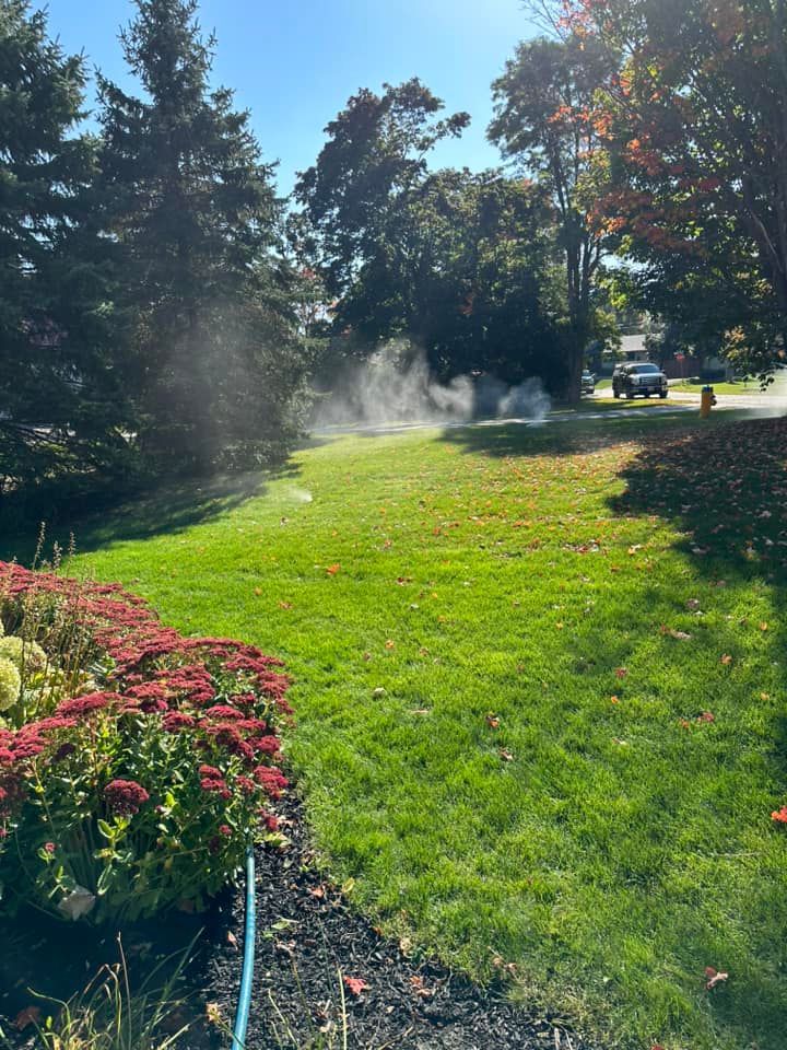 A sprinkler is spraying water on a lush green lawn.