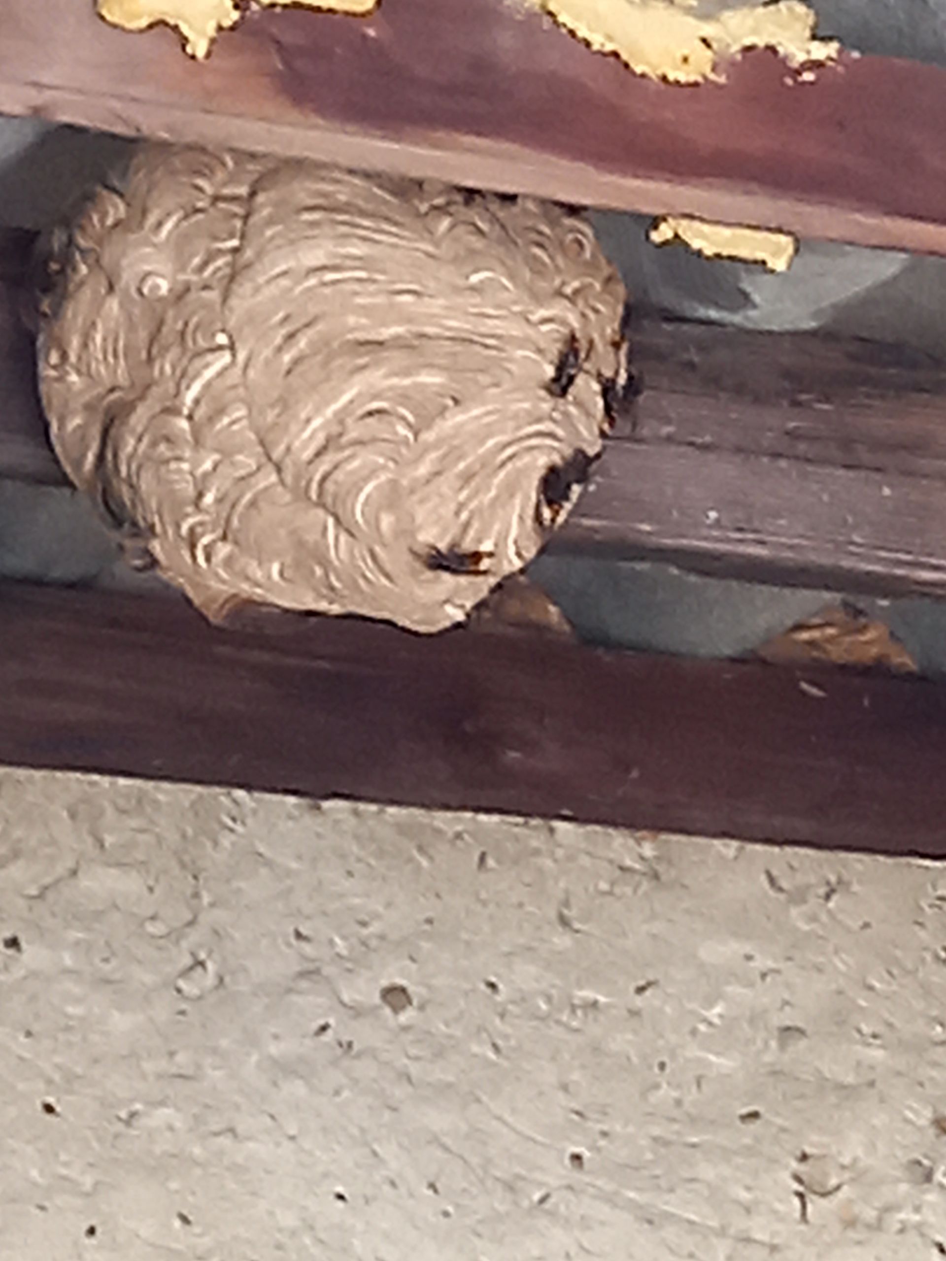 Un nid de guêpes est posé au sommet d'une poutre en bois.